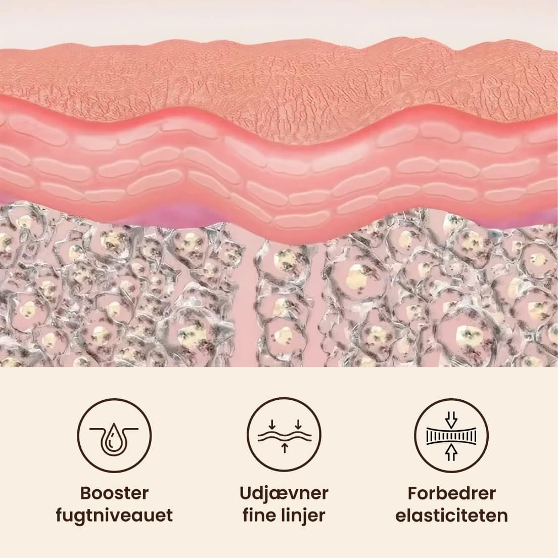 GloraMD image