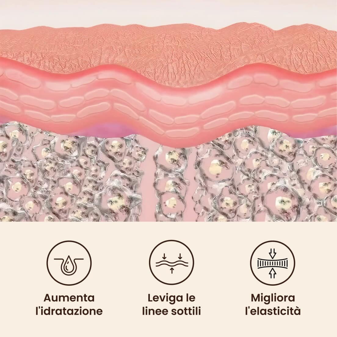 GloraMD image