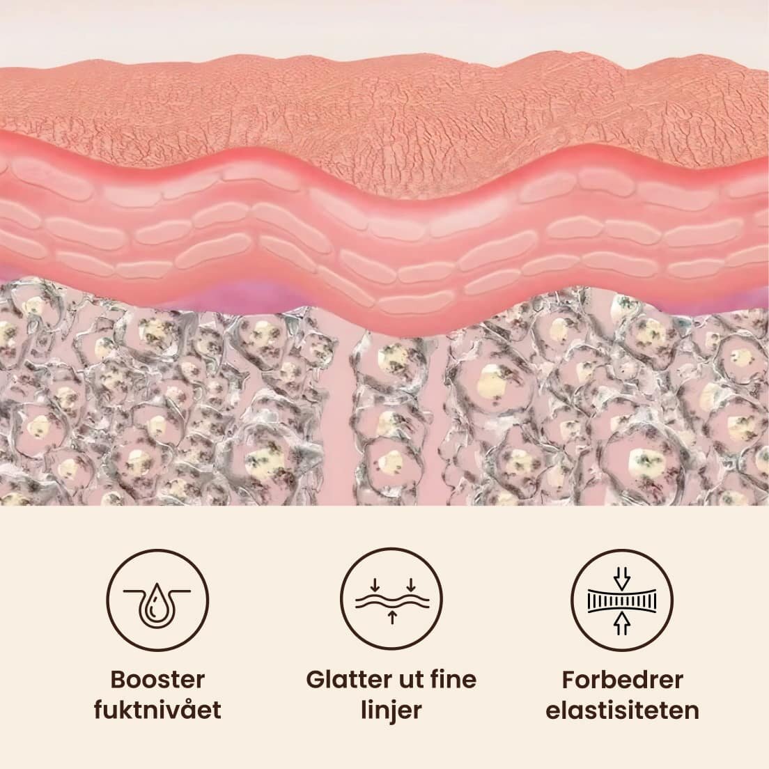 GloraMD image