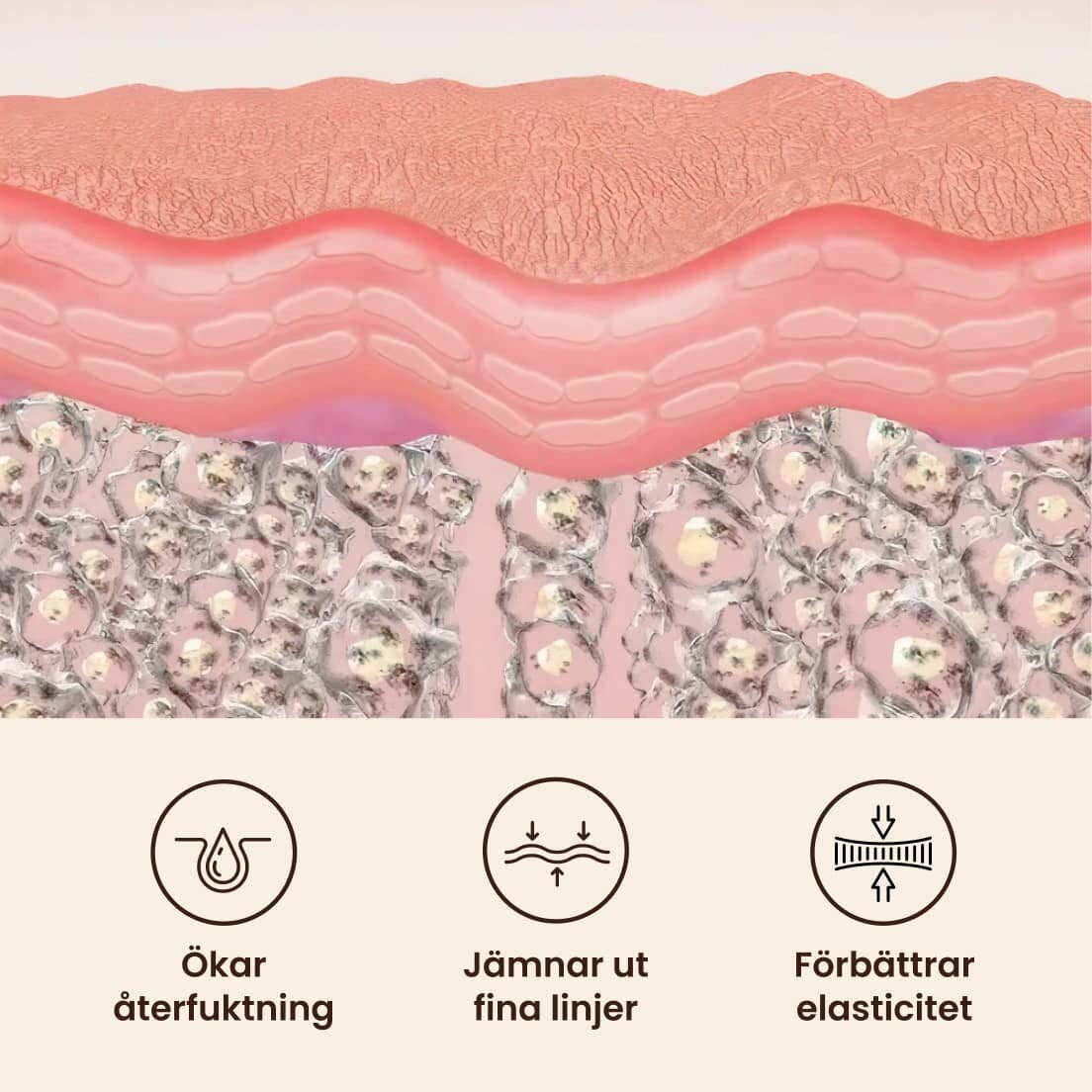 GloraMD image